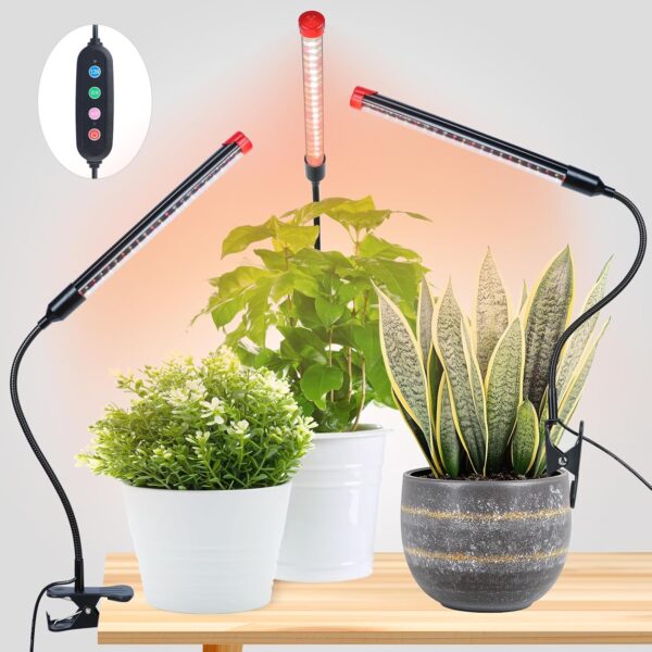 cannabis growing lights