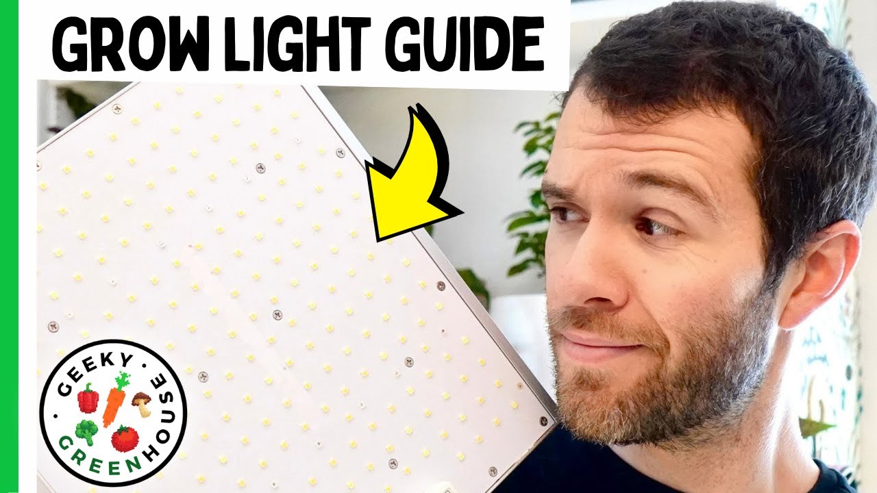 cannabis growing lights