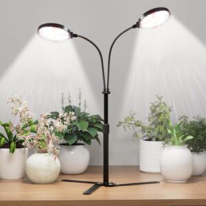 cannabis growing lights