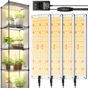 cannabis growing lights