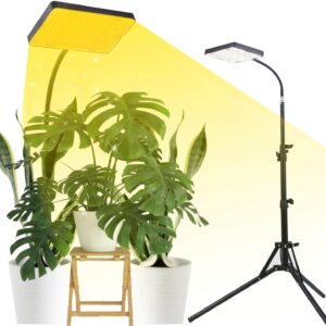 cannabis growing lights
