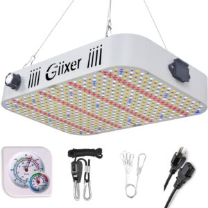 cannabis accessories growing