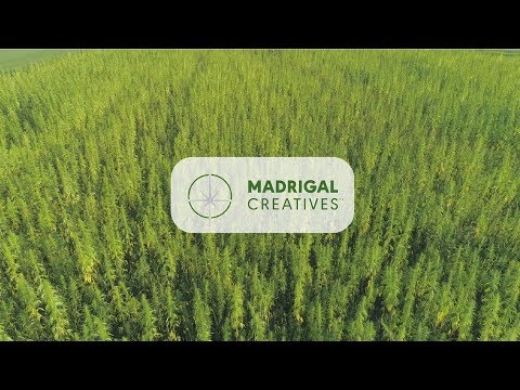 hemp topicals