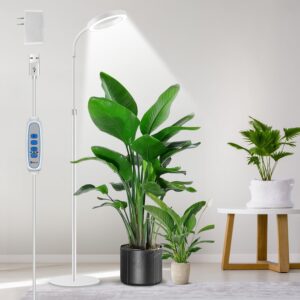 cannabis growing lights
