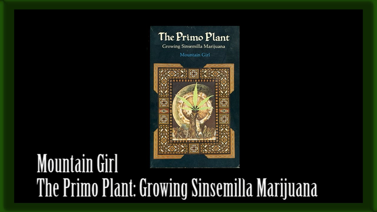 cannabis growing book