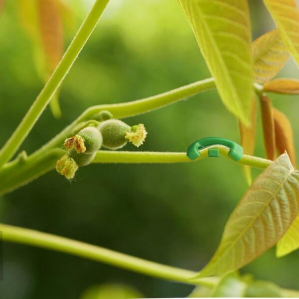 40pcs Plant Bender, Plant Training Clips, Lst Clips for Low Stress Training Plant Stem Support, Trellis Clamps for Climbing Plants Garden Plant Grow Tools(Red and Green) - Image 5