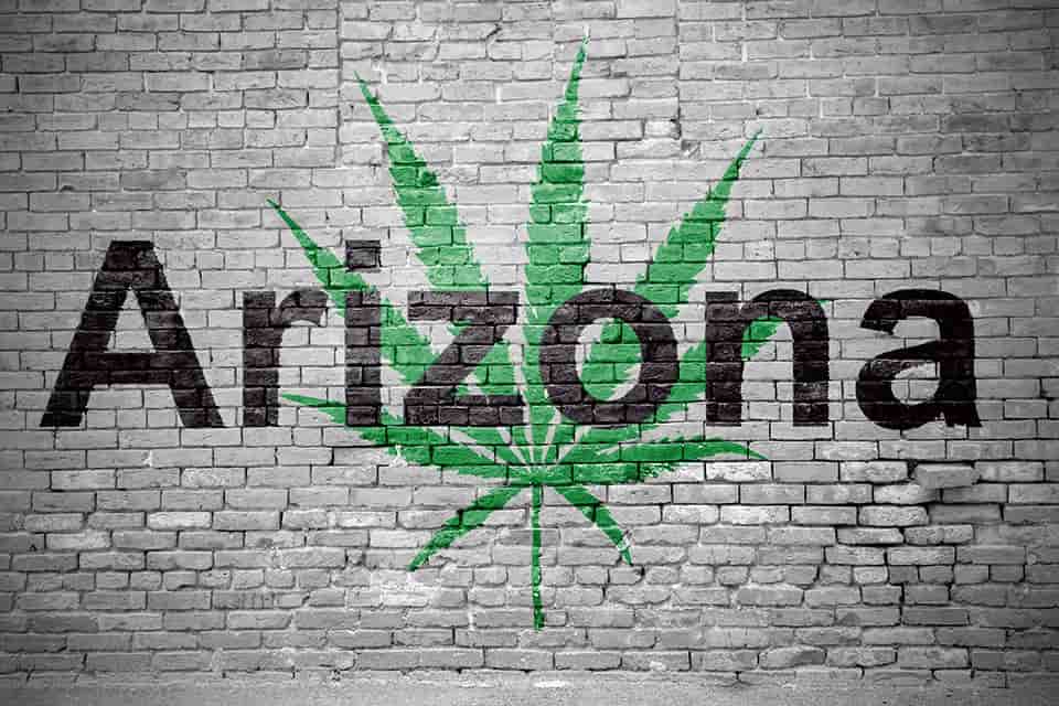 Arizona marijuana market continues downward trend in February