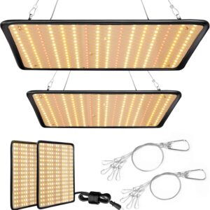 cannabis accessories growing