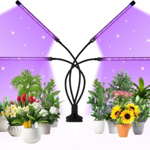 cannabis growing lights