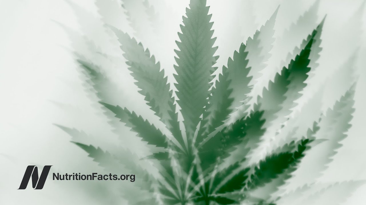 Marijuana