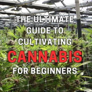 cannabis growing book
