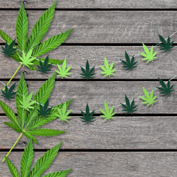 2 Pieces Pot Leaves Felt Banners Pot Leaf Weed Shaped Banners Green Weed Leaves Banner Decorations for Party Home Supplies - Image 5