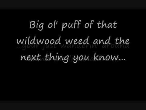 weed music