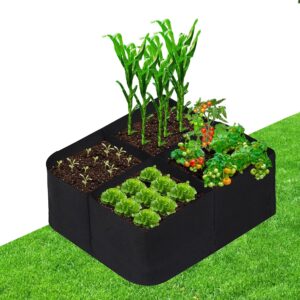 cannabis accessories growing