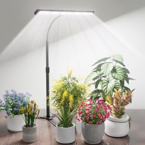 cannabis growing lights
