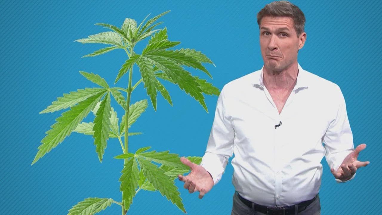 hemp