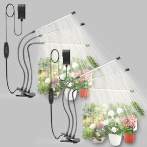 cannabis growing lights