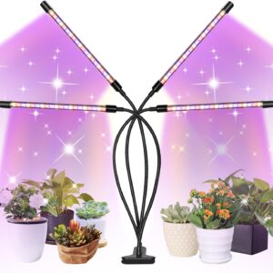 cannabis growing lights