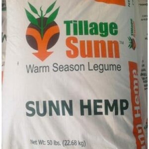 cannabis seeds