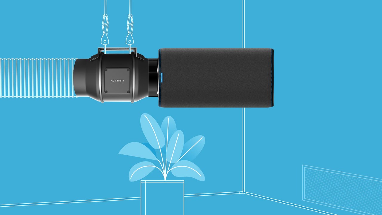 cannabis accessories growing