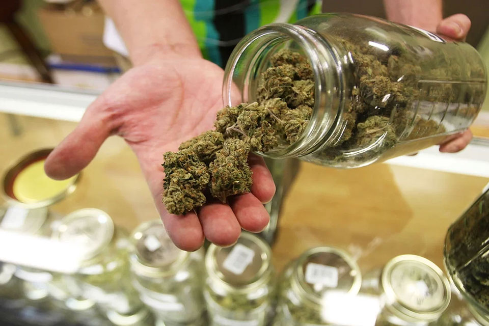 Missouri marijuana sales holding steady in 2025