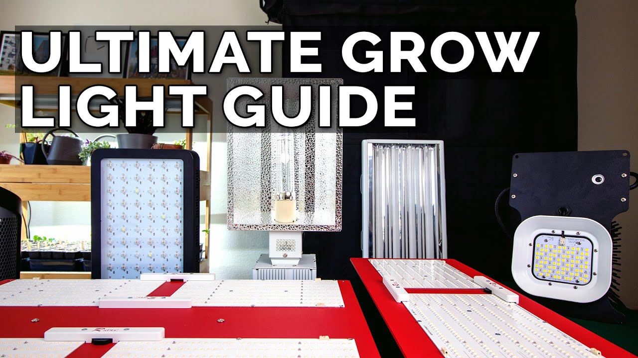 cannabis growing lights