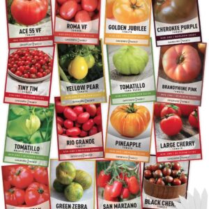 cannabis seeds