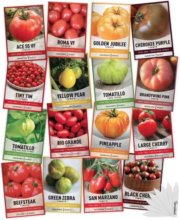 cannabis seeds