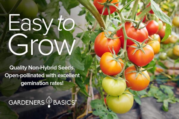 Gardeners Basics, Tomato Seeds for Planting 16 Variety Pack Heirloom Tomato Seeds, Tiny Tim, Cherry Tomato Seeds, Beefsteak Seeds, Roma Tomato Seeds, Determinate and Indeterminate and More, Non GMO - Image 6