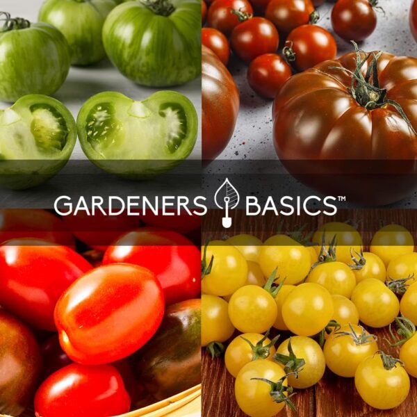 Gardeners Basics, Tomato Seeds for Planting 16 Variety Pack Heirloom Tomato Seeds, Tiny Tim, Cherry Tomato Seeds, Beefsteak Seeds, Roma Tomato Seeds, Determinate and Indeterminate and More, Non GMO - Image 7