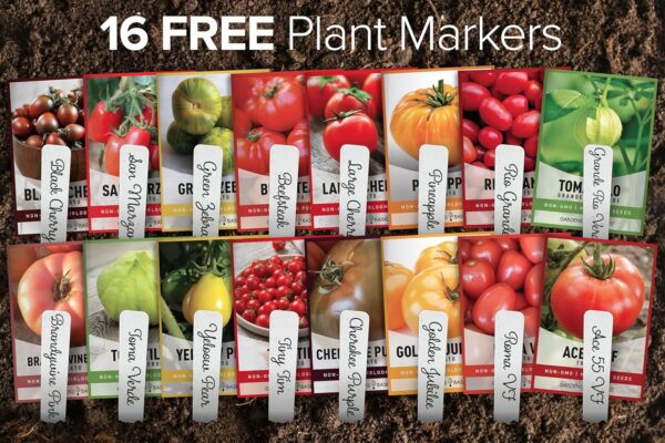 Gardeners Basics, Tomato Seeds for Planting 16 Variety Pack Heirloom Tomato Seeds, Tiny Tim, Cherry Tomato Seeds, Beefsteak Seeds, Roma Tomato Seeds, Determinate and Indeterminate and More, Non GMO - Image 8