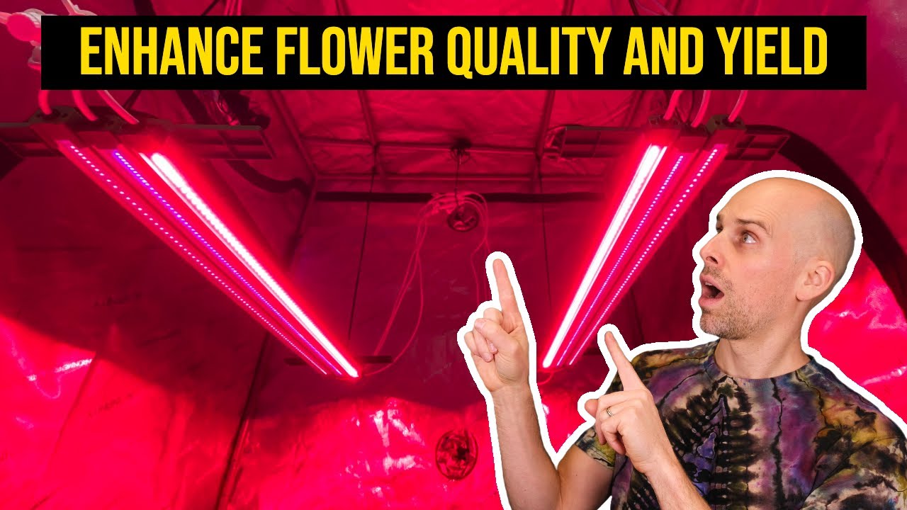 Mars Hydro UV + Deep Red + IR Supplemental LED Grow Light Overview
