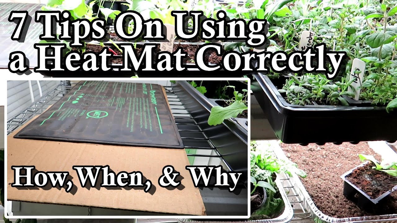 7 Tips on How & When to Use a Heat Mat on Garden Seed Starts: A Seed Starting Series