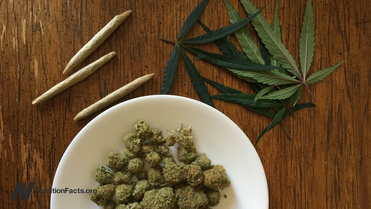 Effects of Marijuana on Weight Gain and Bone Density