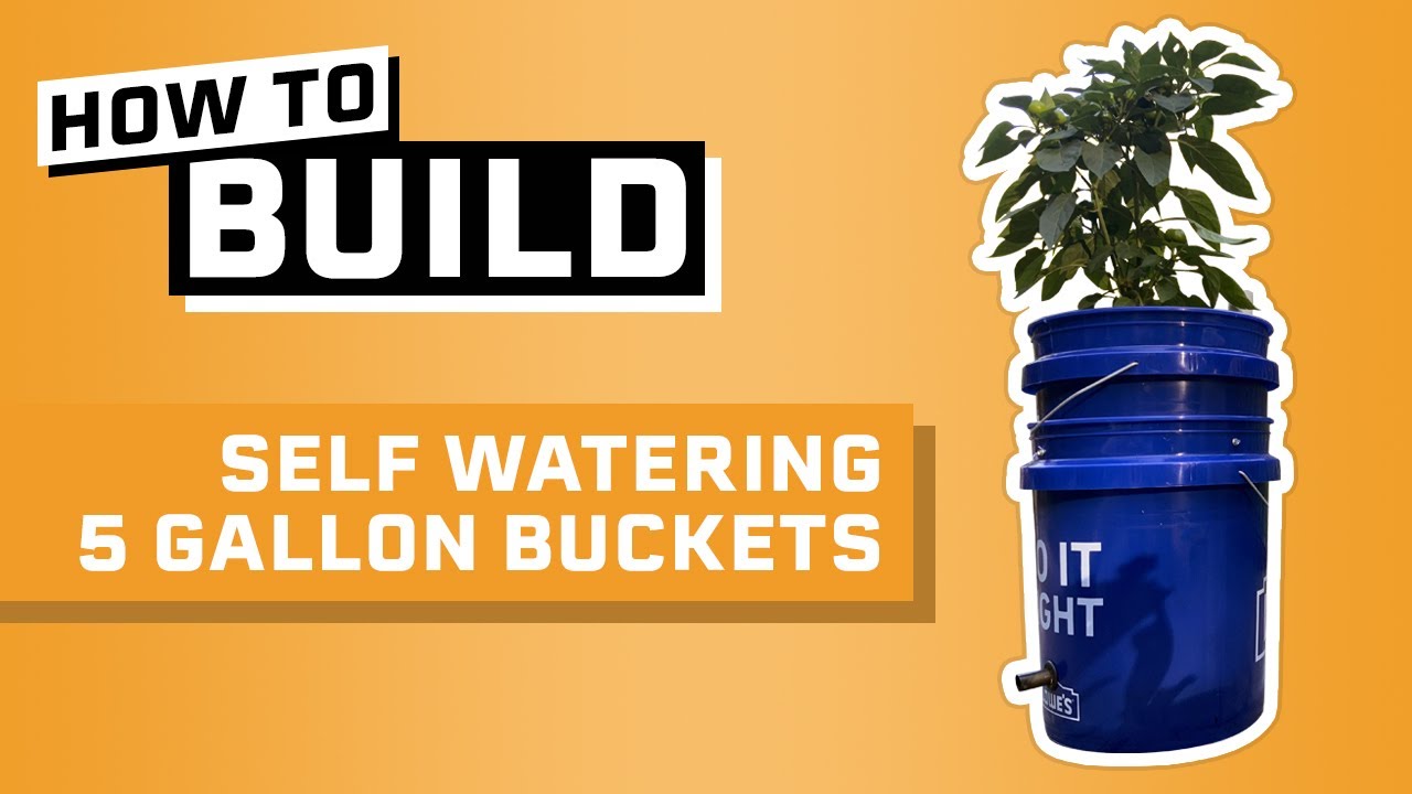How to Build: Self Watering 5 Gallon Buckets