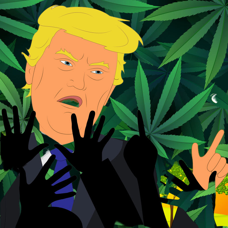 Does Decriminalizing Cannabis Lead to Disorder and Poor Conduct? - Trump Says Yes for Washington DC Area!