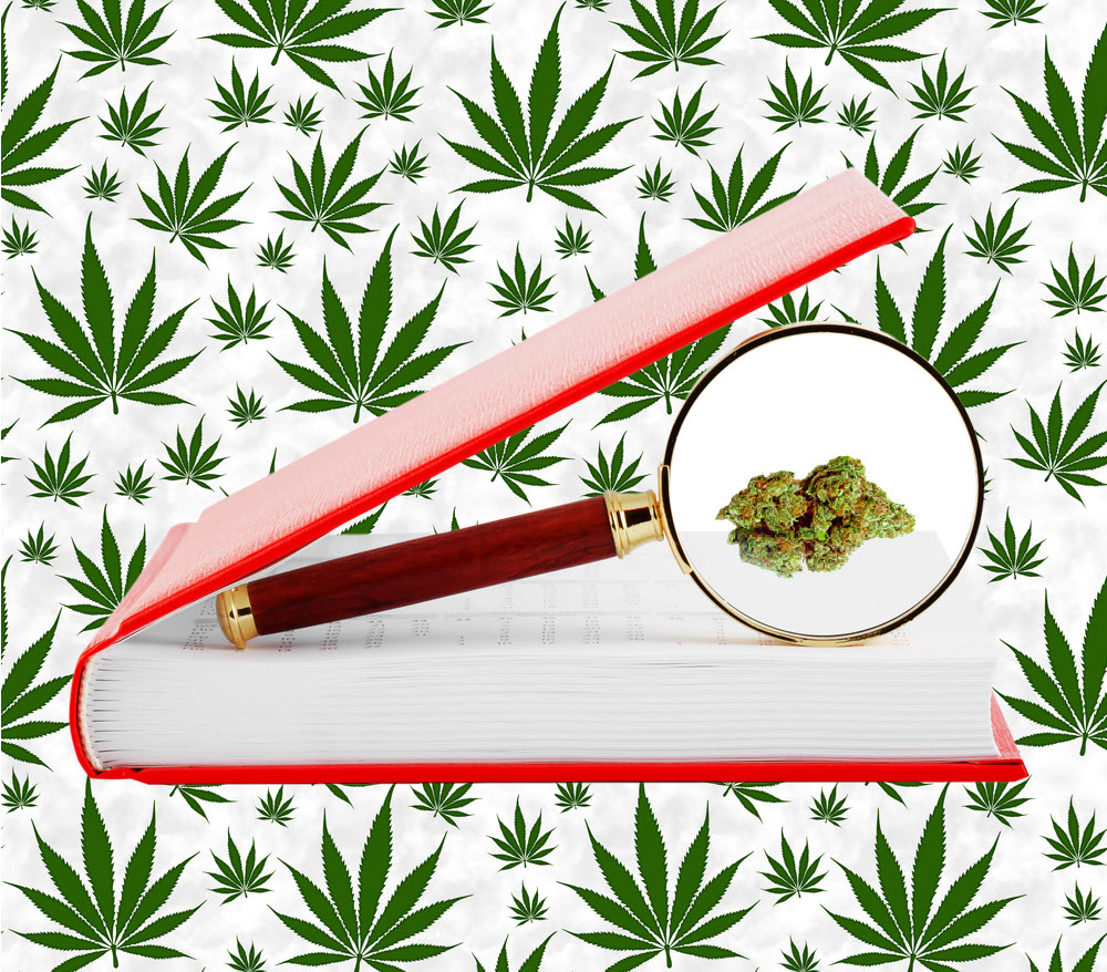 Marijuana Myth Buster : We Need More Research - The Fallback Excuse Not Backed by Facts