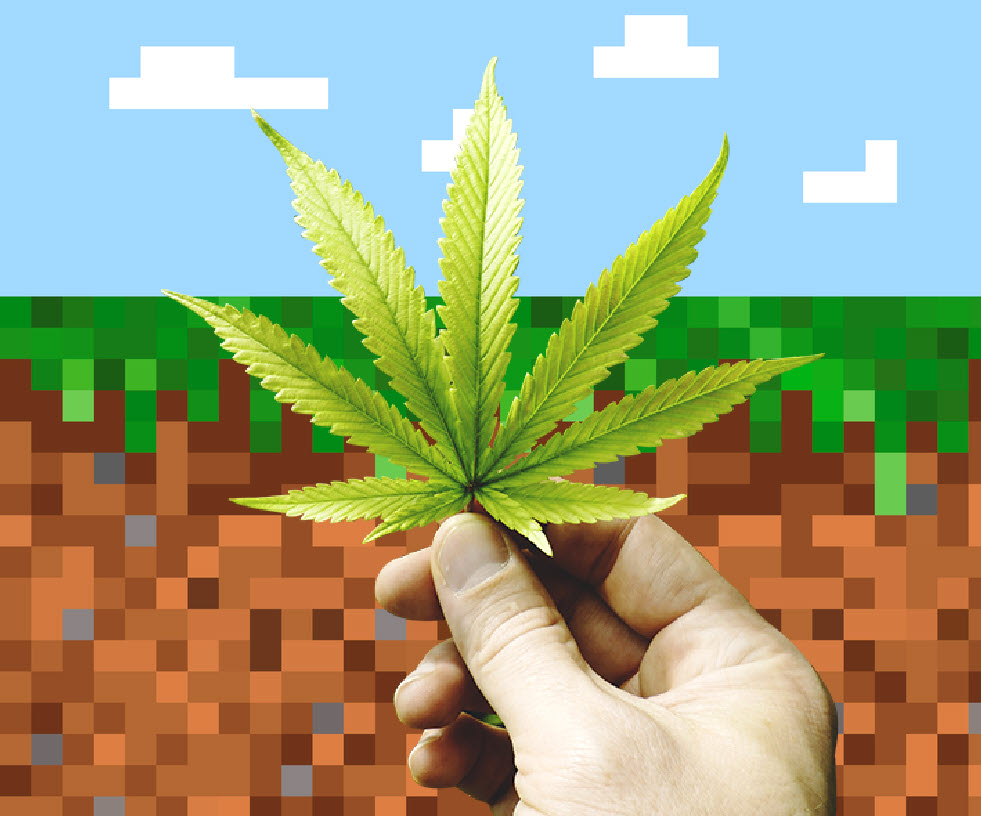 Is There Any Weed in the Minecraft Movie? - Is There a Cannabis Easter Egg in the Film?