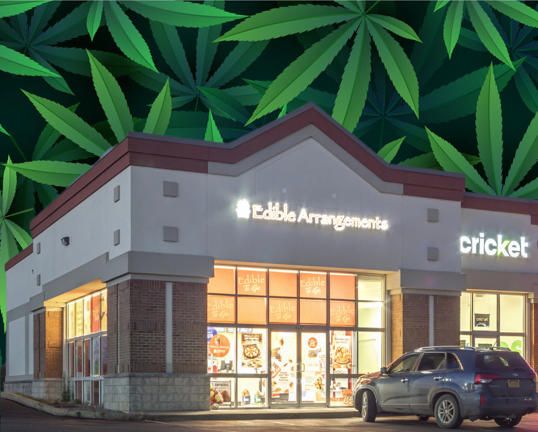Getting THC Edibles in Your Edible Arrangement? - You Can Order Hemp-Derived THC Gift Baskets through Edible Arrangements