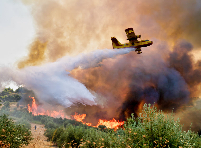 Breathing Easy: Safe Cannabis Consumption During Wildfire Season