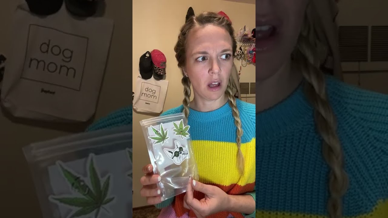 Someone Keeps Stealing My Marijuana Edibles (Comedy Dog Skit)