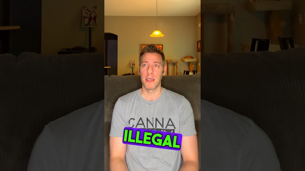 Where do people who think cannabis is bad live?