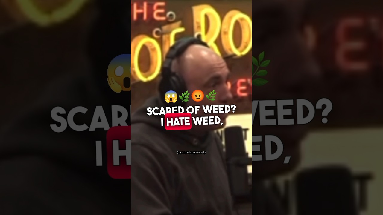 SHANE GILLIS HATES WEED?!?🤣💀#comedy #shanegillis #joerogan