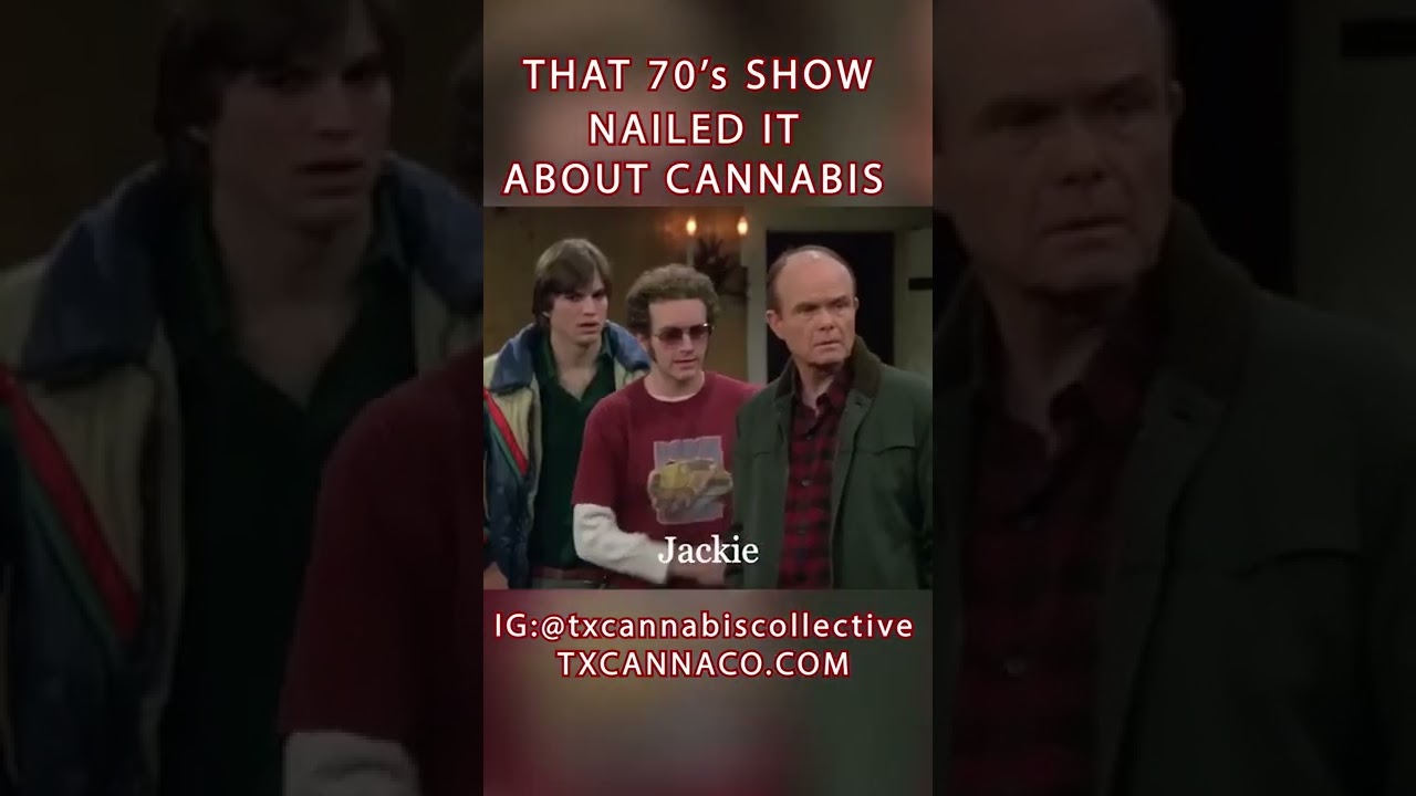 #shorts That 70's show nailed the issues of cannabis