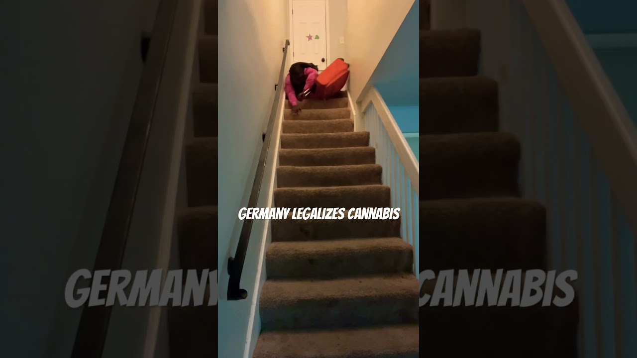 BREAKING:  🇩🇪 legalizes cannabis. Me: Hello Germany!!! #comedy #drama #acting #fiction #laugh.