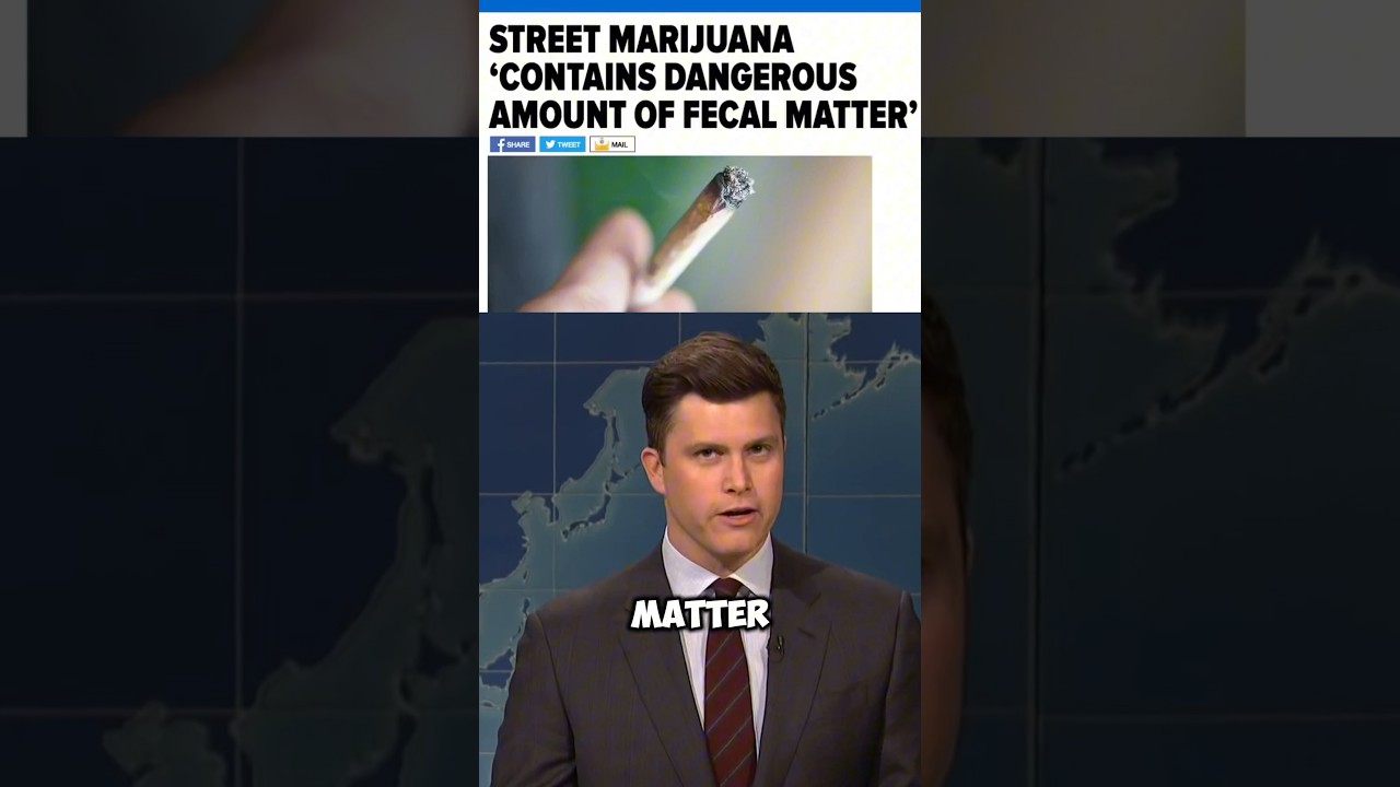 A NEW STUDY ON MARIJUANA🤯 #shorts #snl #weekendupdate