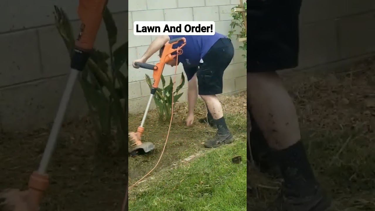 Weed Whacker Joke 2 #diy #lifehacks #weedwacker #landscaping #funny #cornyjokes #jokes