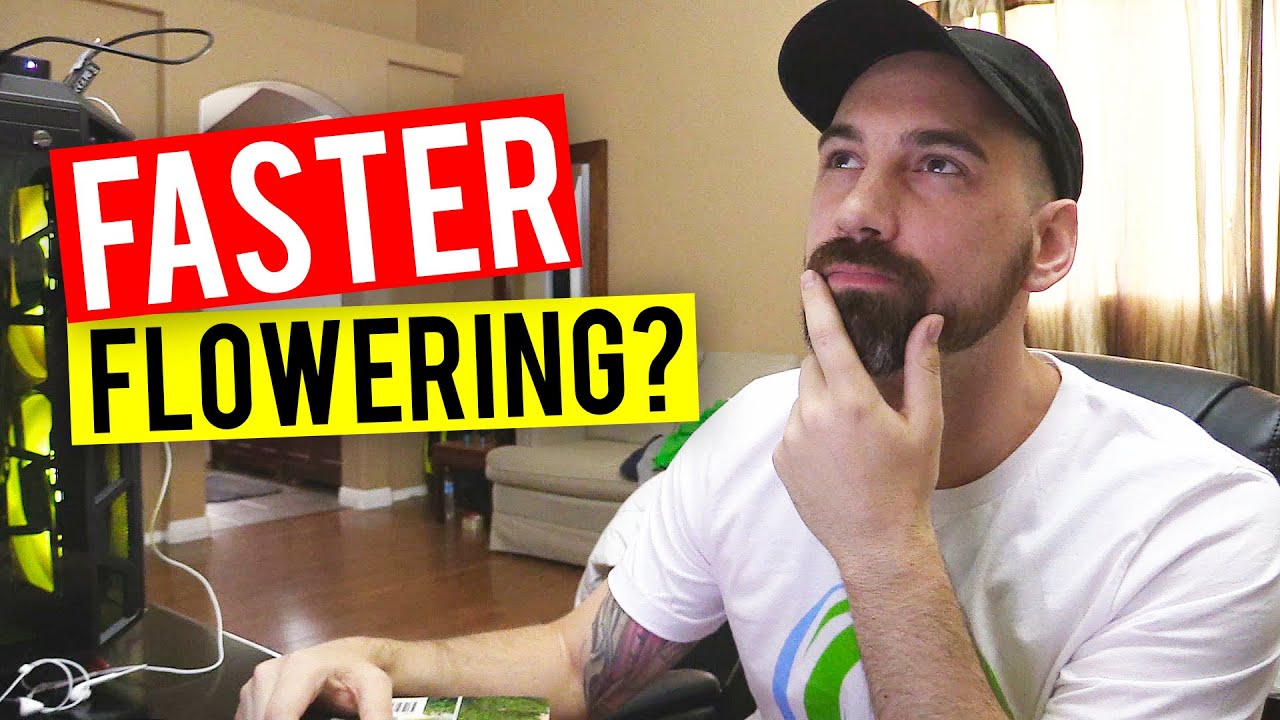 36 Hours of Darkness Before Flowering? Let's Discuss....