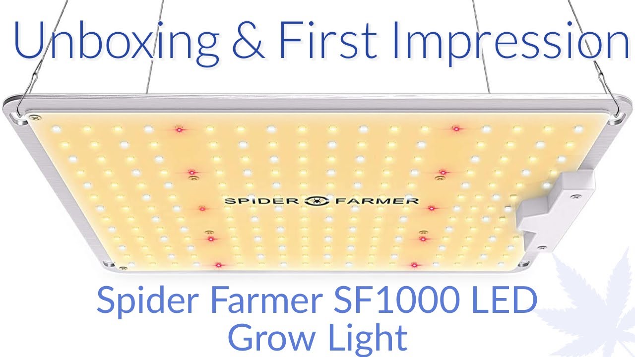Unboxing & First Impression of SF1000 LED Grow Light From Spider Farmer