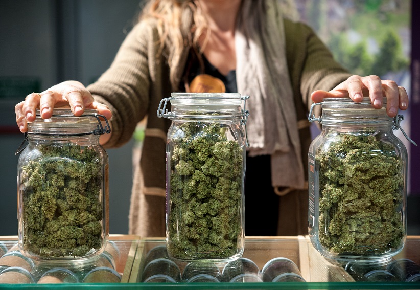 Lynnwood to consider allowing retail cannabis sales in the city